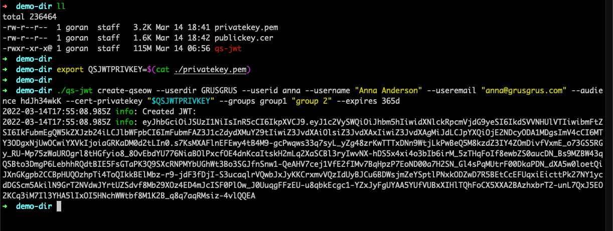 qs-jwt running on macOS, using existing key as parameter