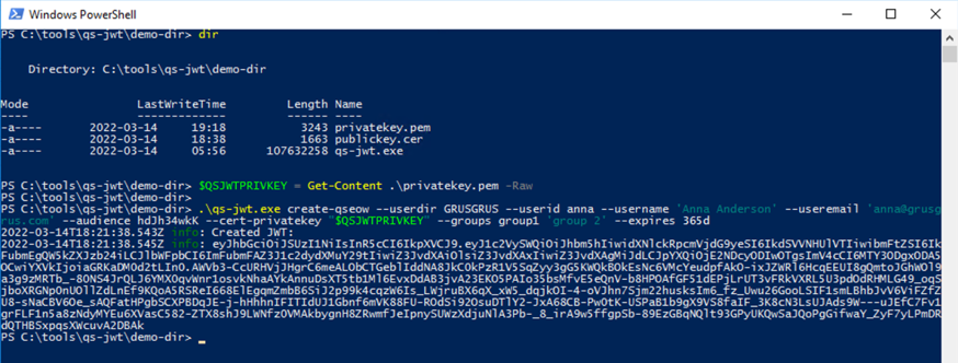 qs-jwt running on Windows Server 2016, using existing key as parameter